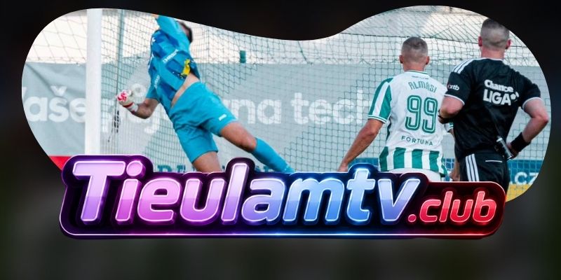 Gợi ý chốt kèo tổng hợp trận Besiktas JK vs Hradec Kralove ngày 14/08