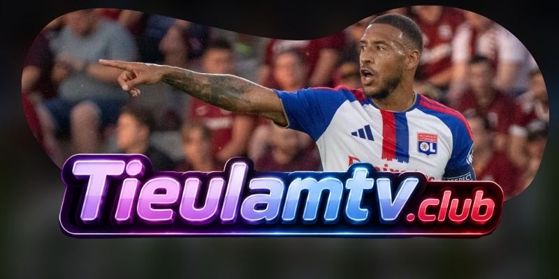 Gợi ý chốt kèo tổng hợp trận Fenerbahce vs Lyon ngày 19/08