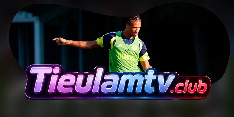 Nhận Định Fenerbahce Vs Lyon 02h00 19/08