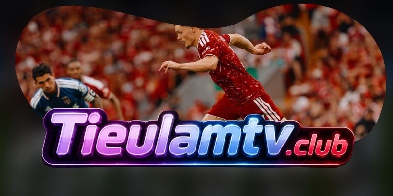 Gợi ý chốt kèo tổng hợp trận Newcastle United vs Liverpool ngày 23/08