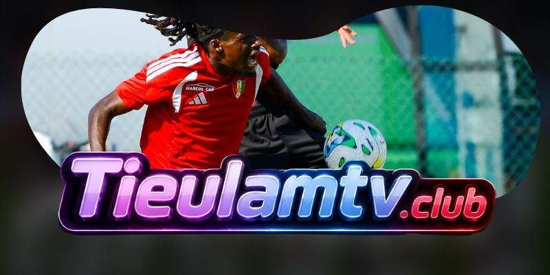 Gợi ý chốt kèo tổng hợp trận Santa Clara vs Nacional da Madeira ngày 11/08